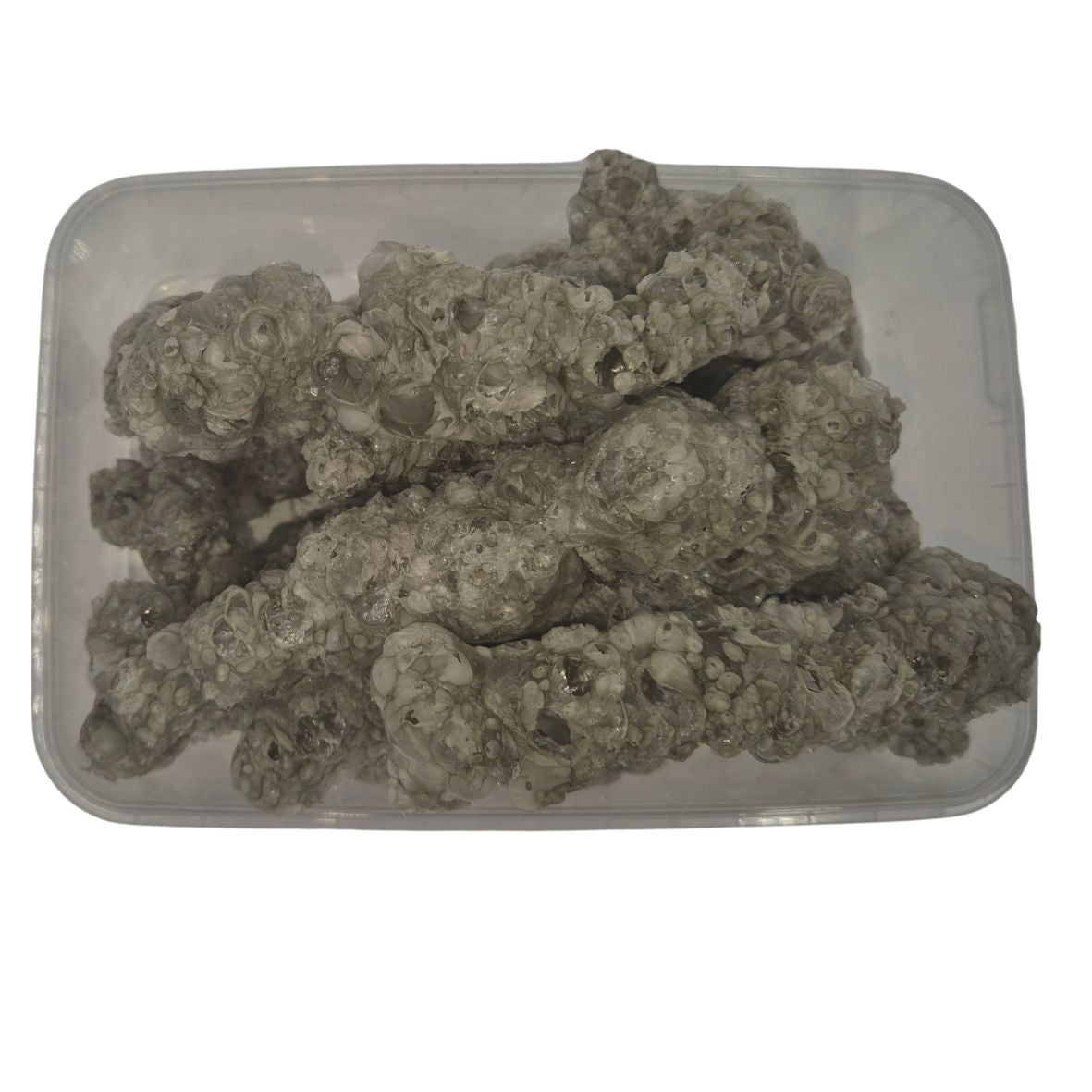 Freeze Dried - Drop Slugs