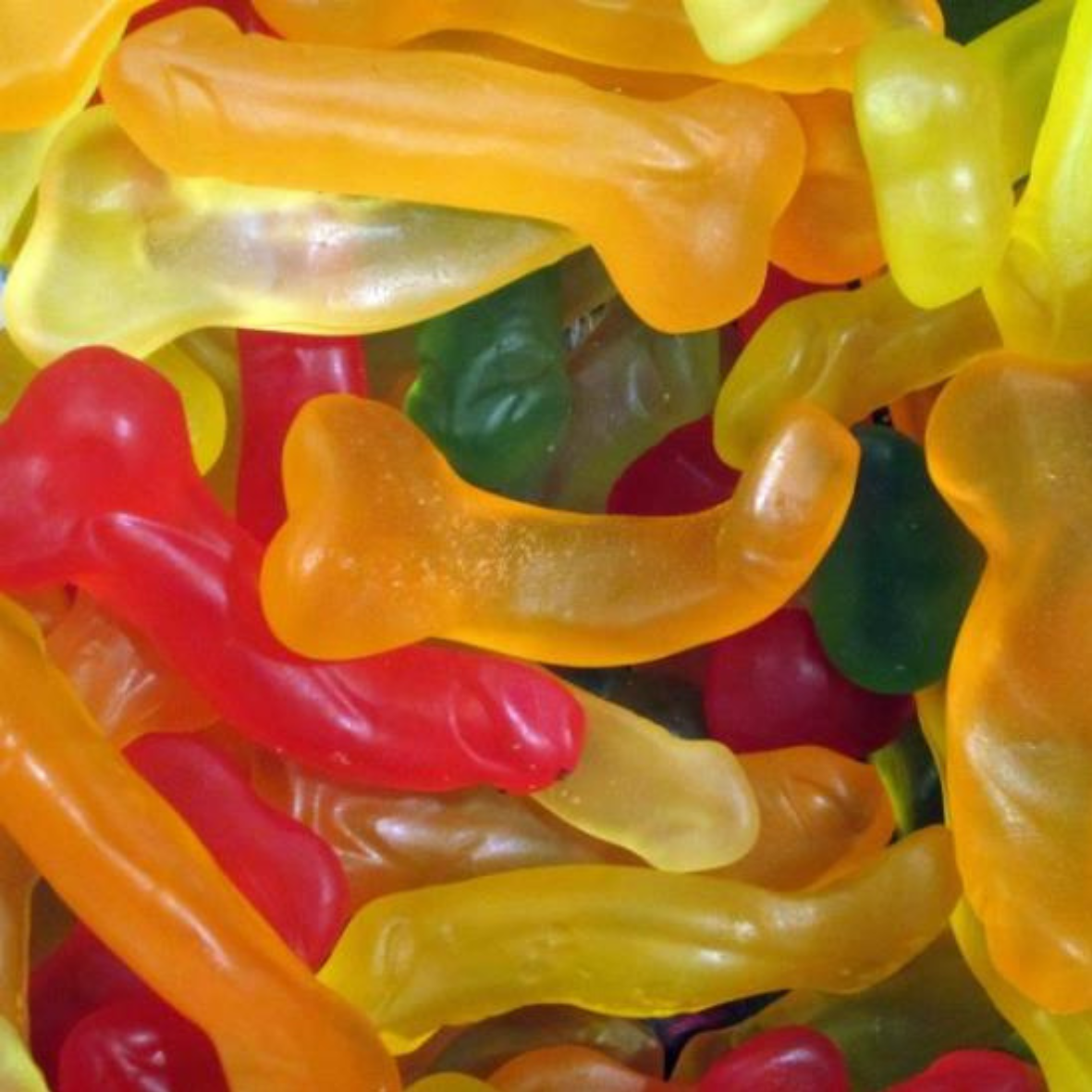 Matthijs - Winegum Harries *