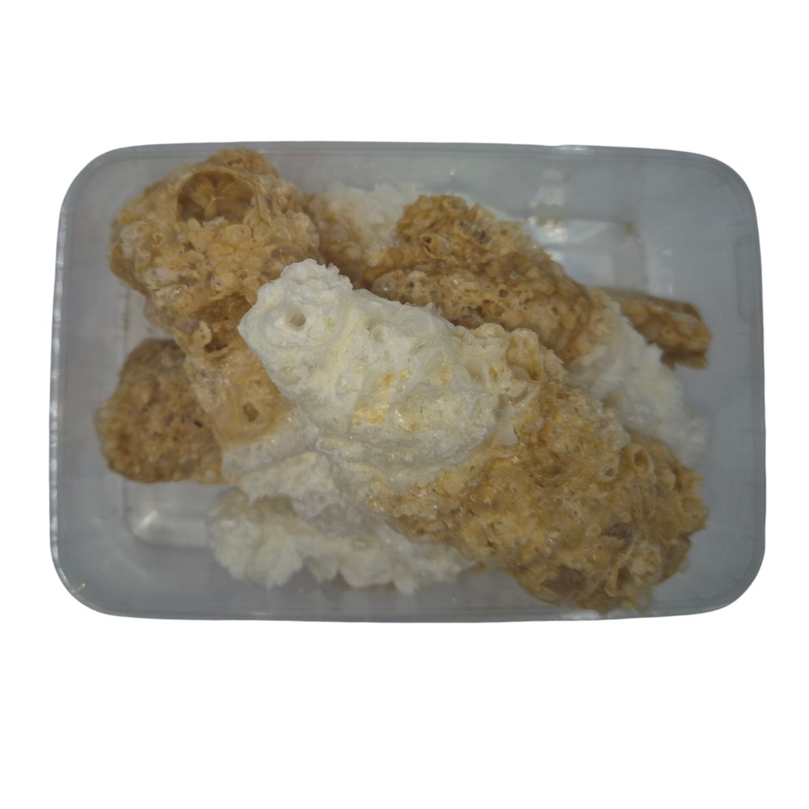 Freeze Dried - Mega Cola Fles Gesuikerd