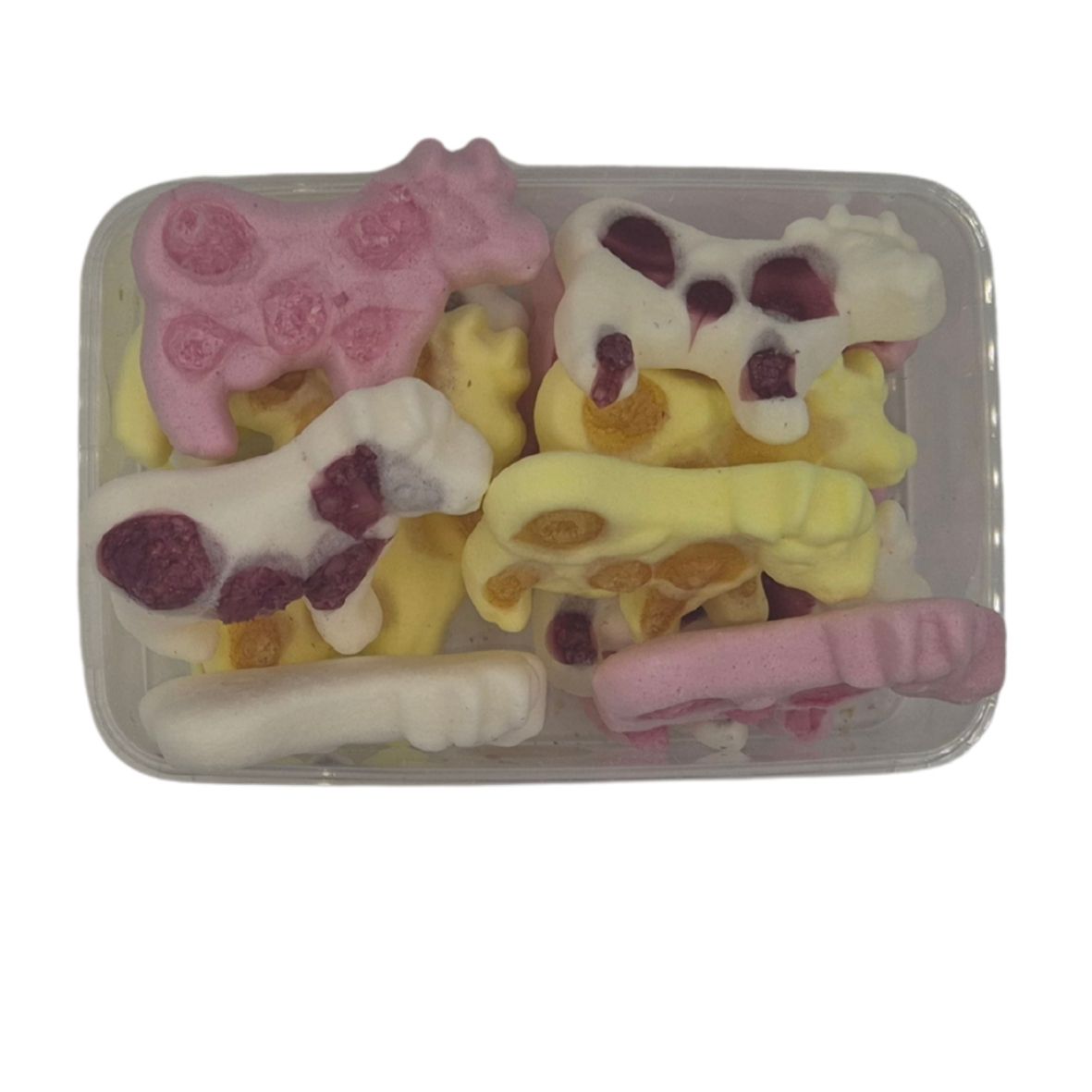 Freeze Dried - Koeien