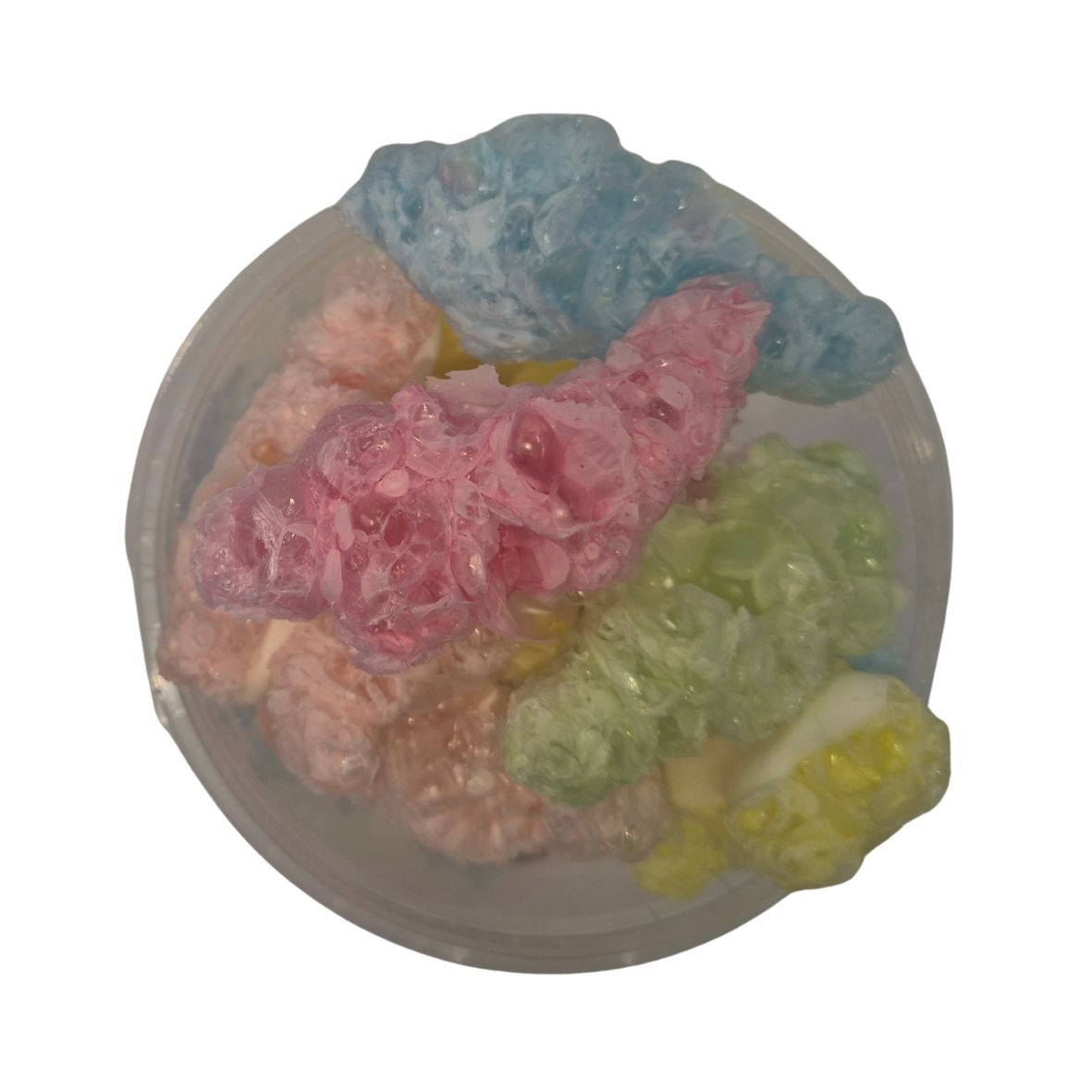 Freeze Dried - Gekleurde Krokodillen