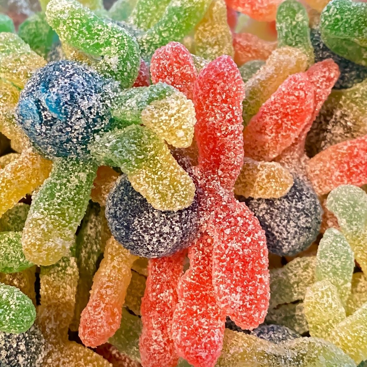 Jake Octopus Jake - Sour Octopus
